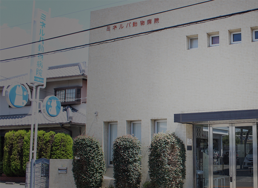 ミネルバ動物病院