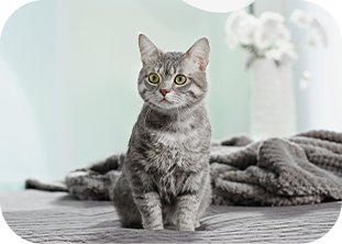 ミネルバ動物病院img2